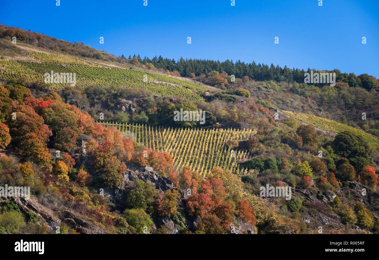OBERWESEL VINEYARDS AND ROCKY SLOPES RHINE VALLEY GERMANY Stock Photo
