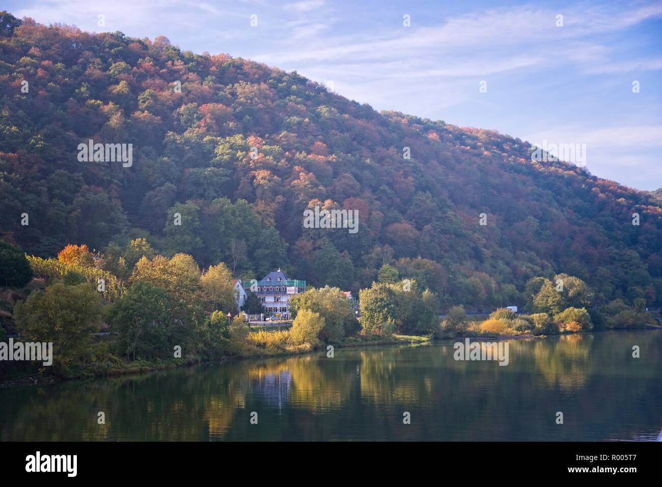 WINNINGEN UPSTREAM VIEW THE RIVER MOSEL VALLEY GERMANY Stock Photo