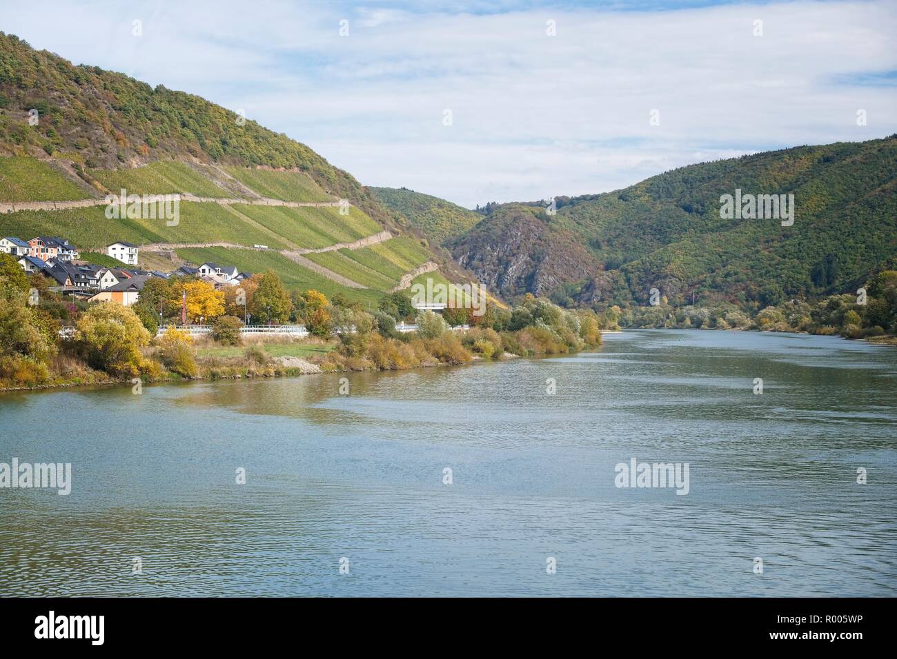 KARDEN TOWN AND VINEYARDS ABOVE THE RIVER MOSEL GERMANY Stock Photo