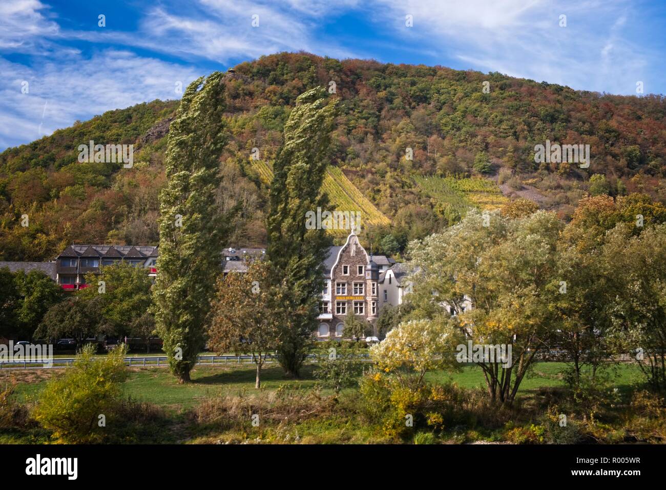 MOSELKERN VINEYARDS AND WOODLAND THE RIVER MOSEL VALLEY GERMANY Stock Photo
