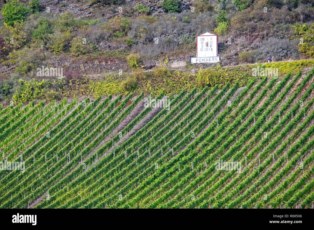 SUNDIAL VINEYARDS AND ROCKY SLOPES POMMERN THE RIVER MOSEL VALLEY GERMANY Stock Photo