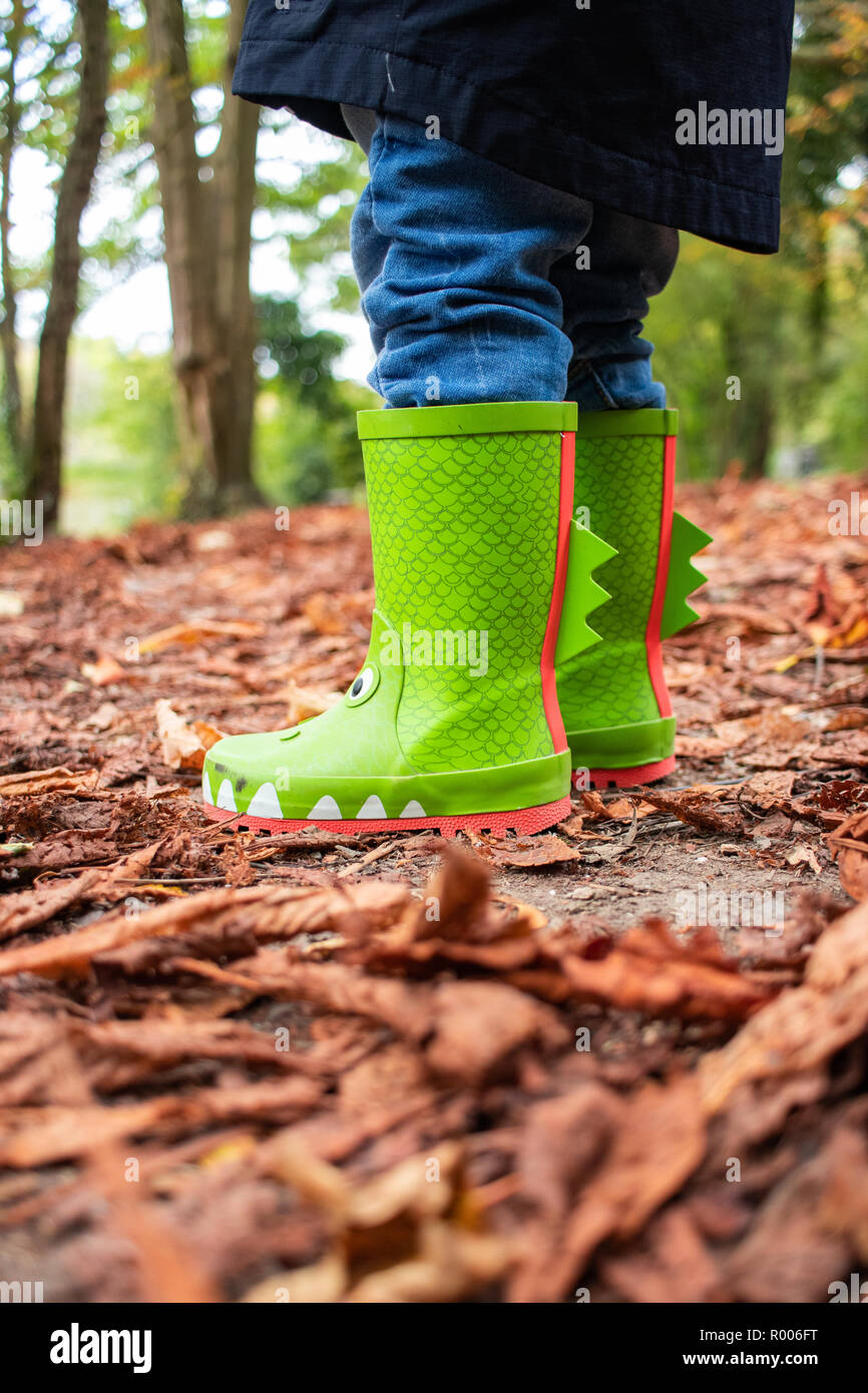 a small boy wearing novelty children's crocodile wellington boots stood on  autumn leaves in a forest Stock Photo - Alamy