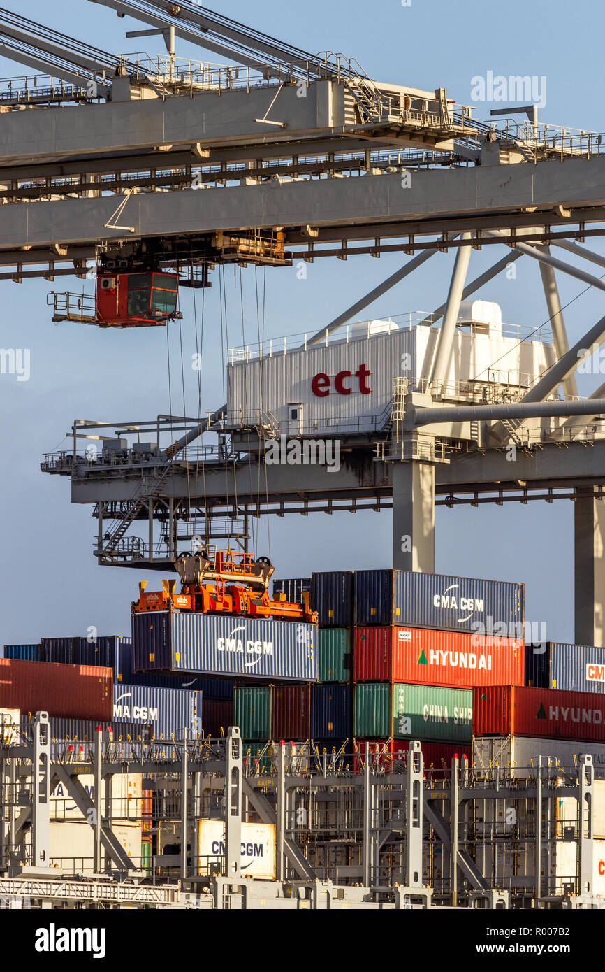 ROTTERDAM JAN 13, 2012 Gantry crane operator placing a container in
