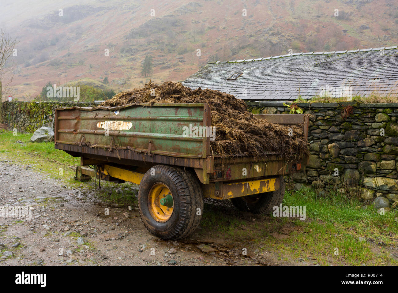 A farm trailer loaded with mature in the Lake Distirct National Park, Cumbria. Stock Photo