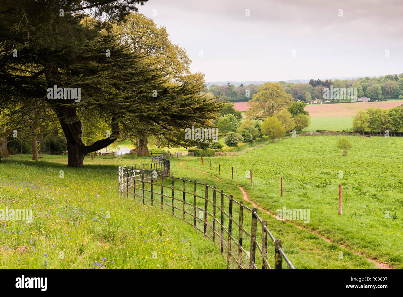 Landscape of Devon countryside with trees and fields. Stock Photo