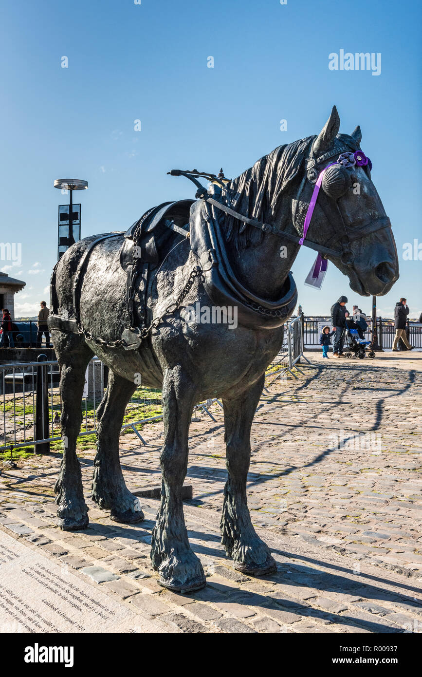 'Waiting' statue, Royal Albert Docks, Liverpool, a memorial to the Liverpool working horse Stock Photo