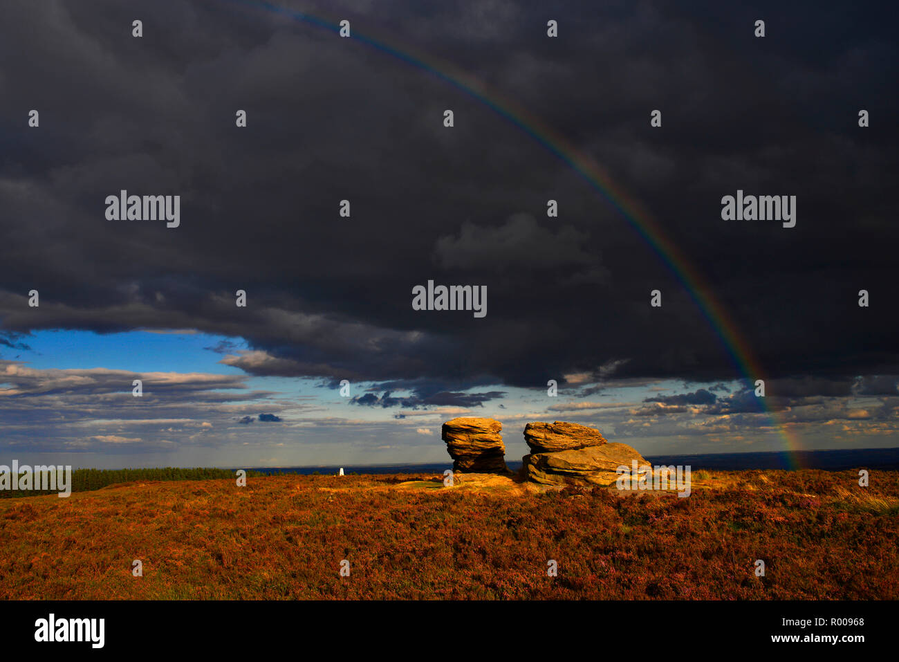 The Ox Stones caught in storm light. Burbage Moor, the Peak District, England (4) Stock Photo