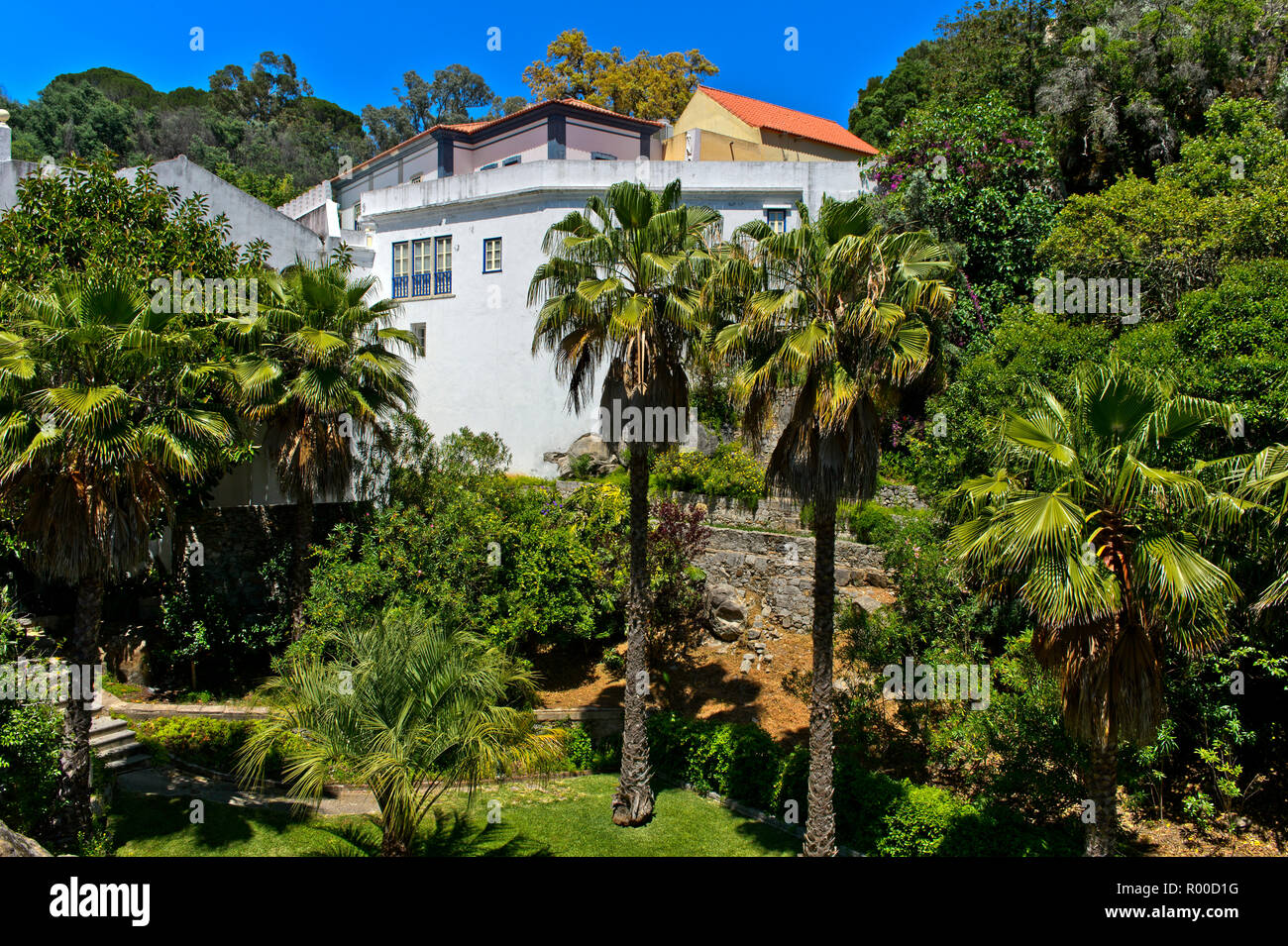 Sub-tropical garden of the thermal spa Caldas de Monchique, Monchique, Algarve, Portugal Stock Photo
