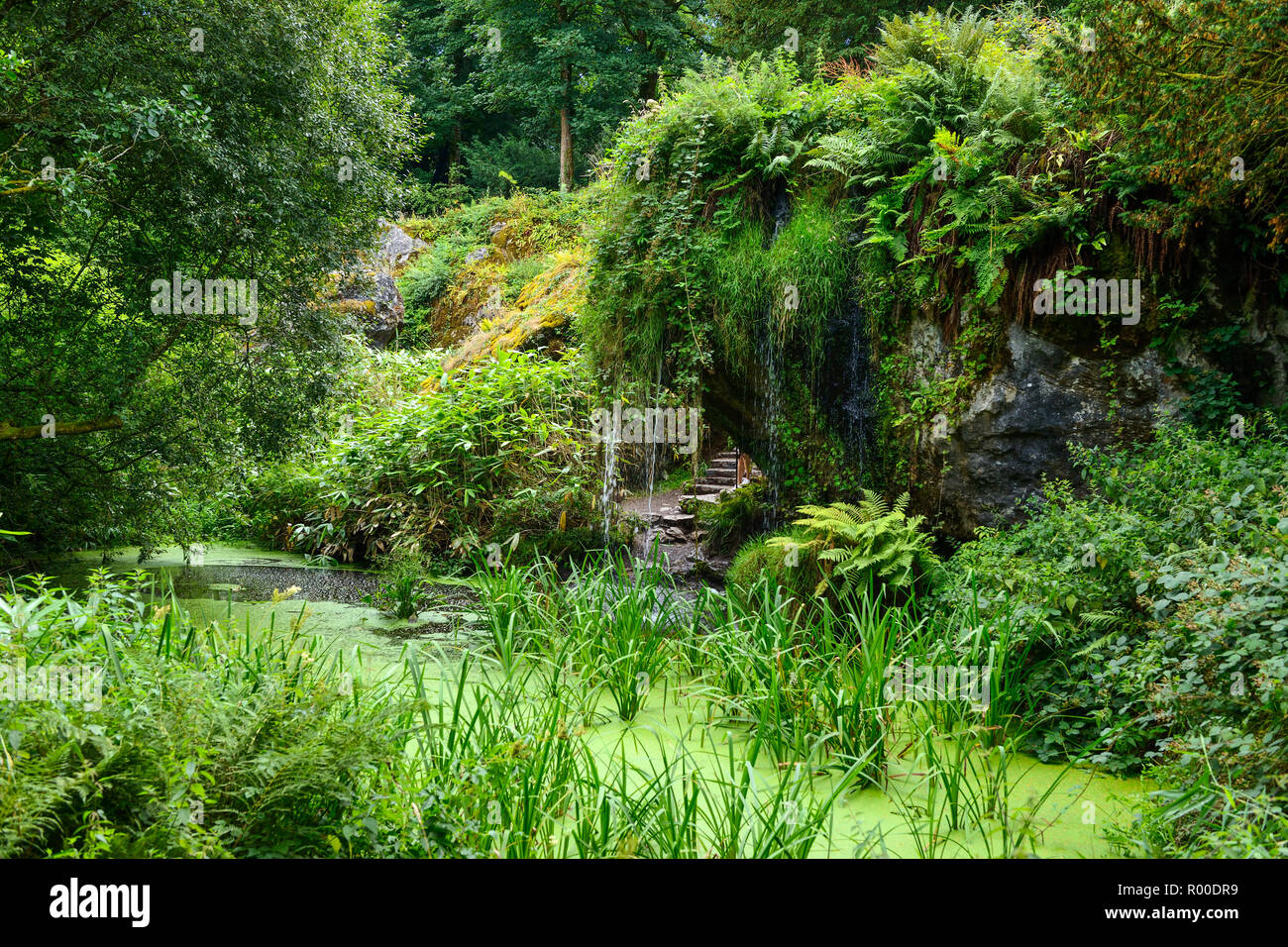 Waterfall and pond at Wishing Steps within the Rock Close at Blarney