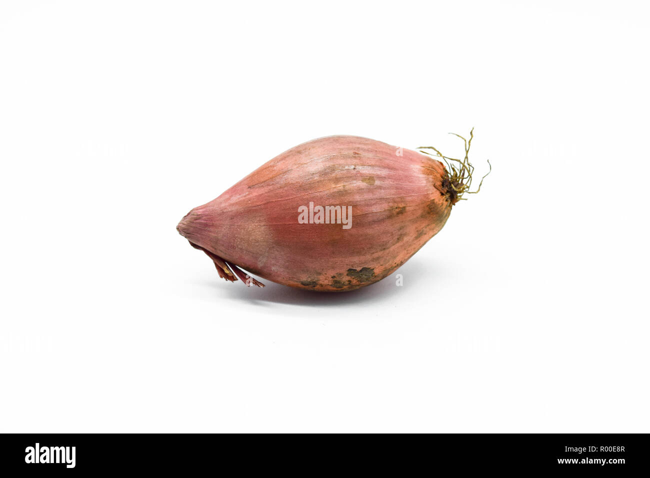 Group Thai red onion or Shallots. Fresh purple shallots on white  background. Selected focus. Concept of spices in healthy cooking 9629790  Stock Photo at Vecteezy