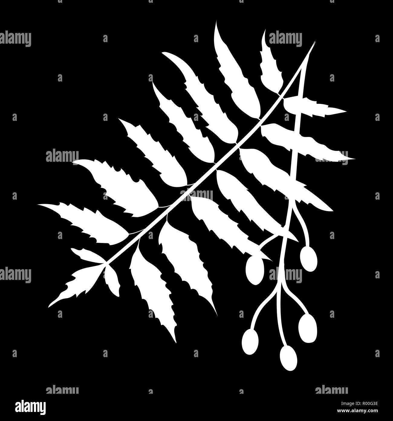 Neem or nimtree. Ayurvedic Herb. isolated logo icon. white silhouette. Vector illustration Stock Vector