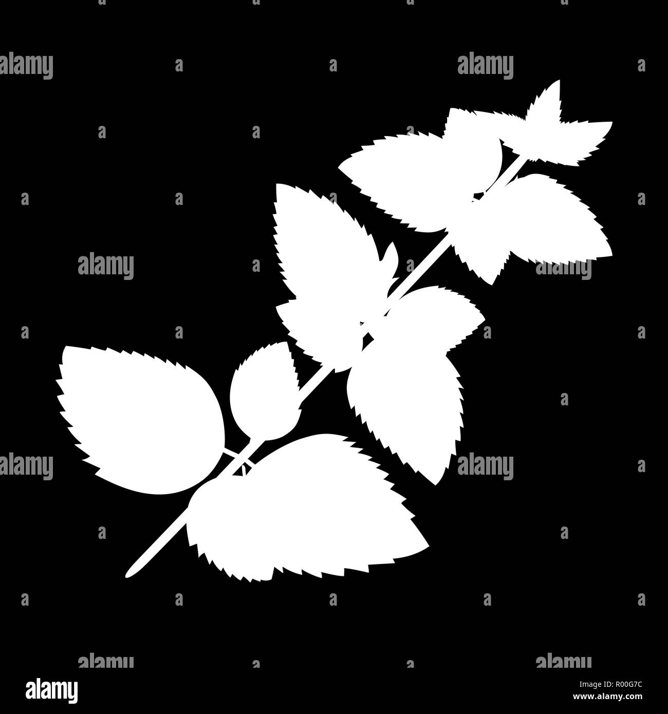 Melissa or lemon balm isolated logo icon. white silhouette. Vector illustration Stock Vector
