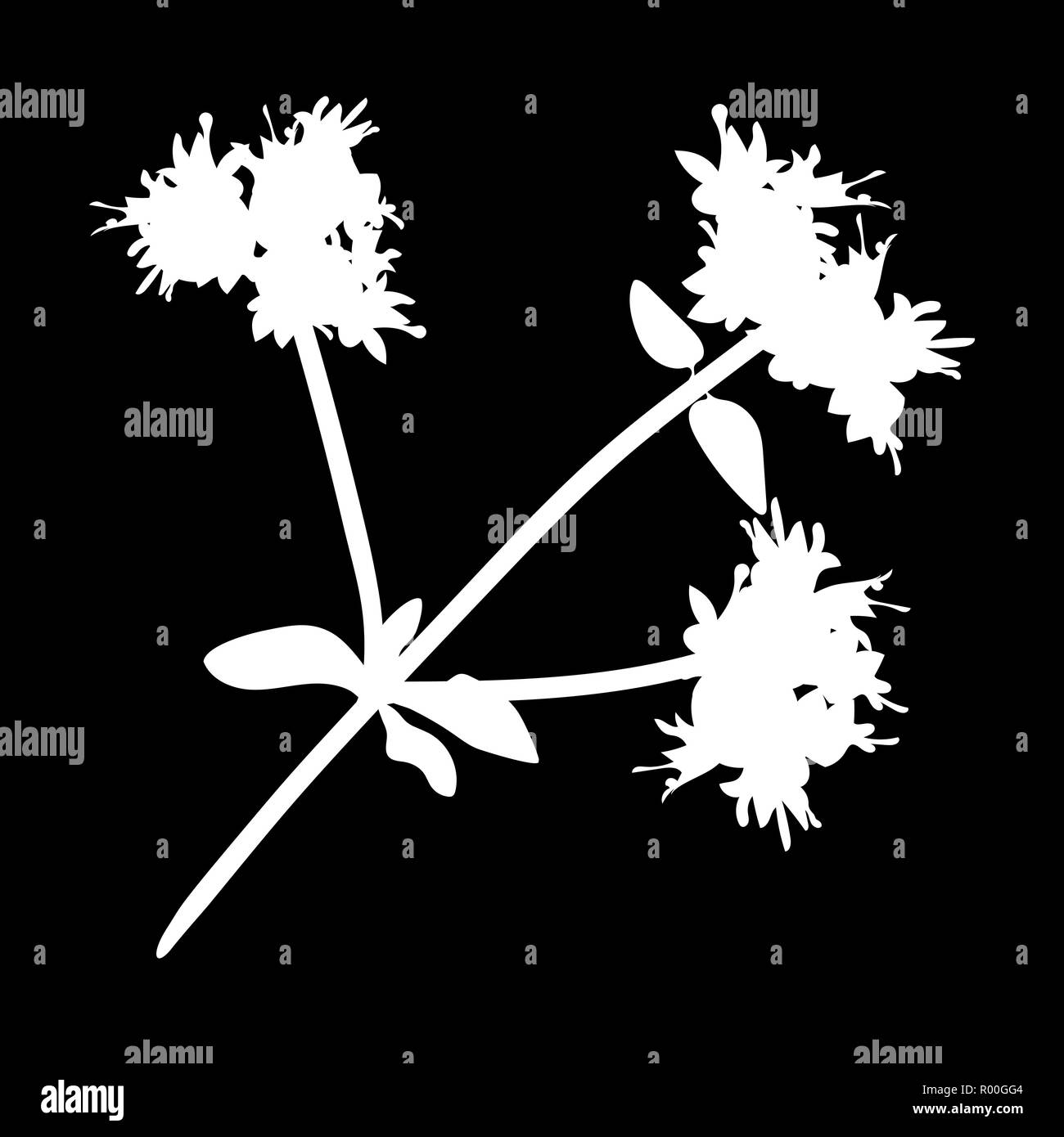 marjoram leaves isolated logo icon. white silhouette. Vector illustration. Stock Vector