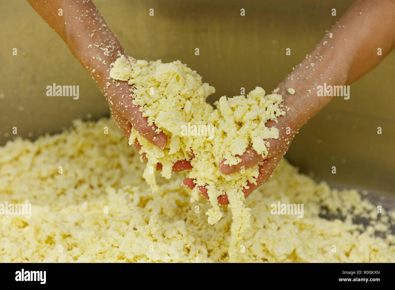 The process of making cheese seperating the Curds from the Whey No. 4 Stock Photo