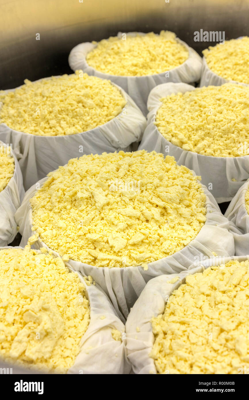 The process of making cheese seperating the Curds from the Whey No. 6 Stock Photo