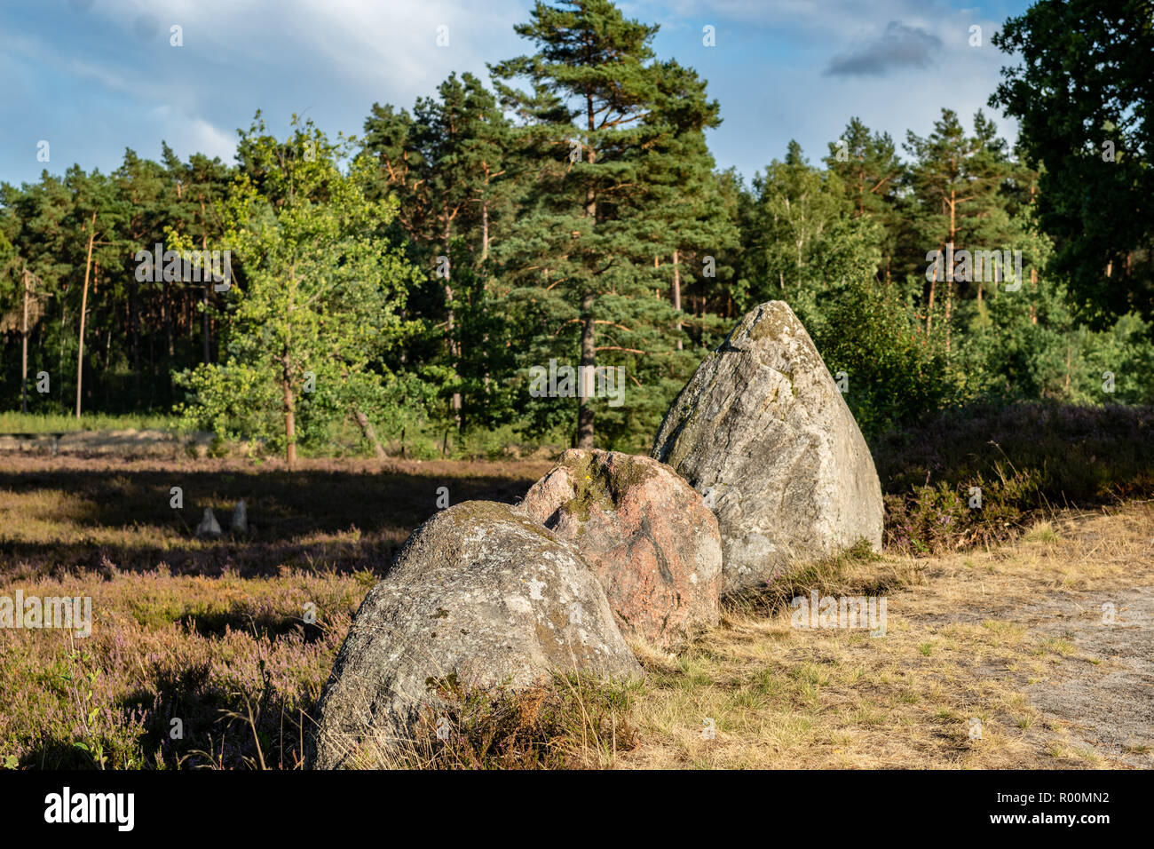Megalith prehistoric standing stones Oldendorfer Totenstatt Lüneburger