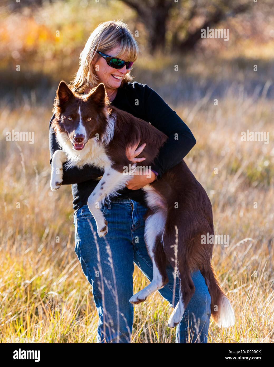 Woman with Border Collie in a park near Salida; Colorado; USA Stock Photo