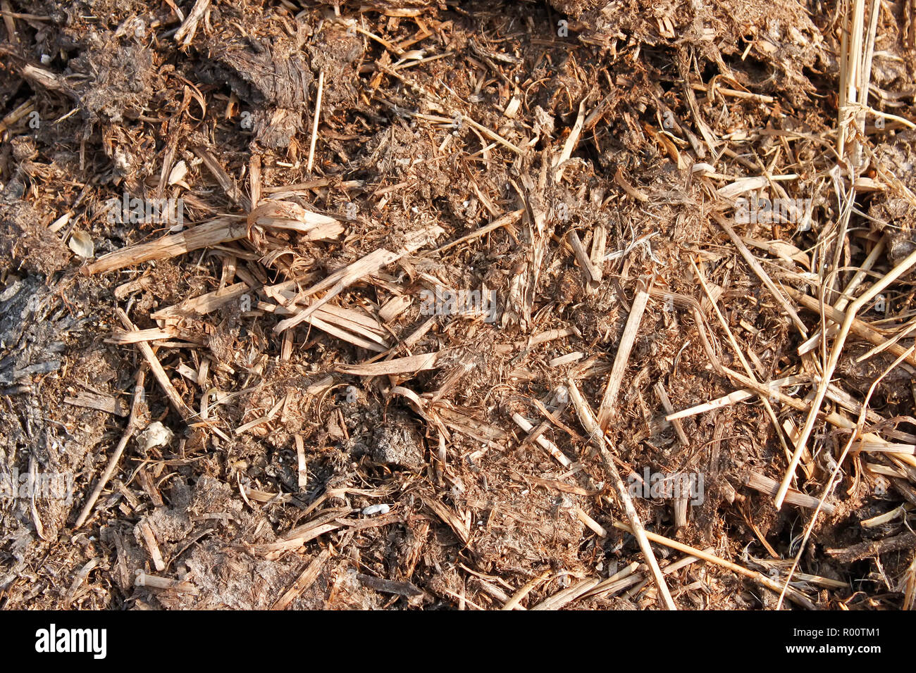 Fragment of the compost heap. High-quality organic fertilizer Stock Photo