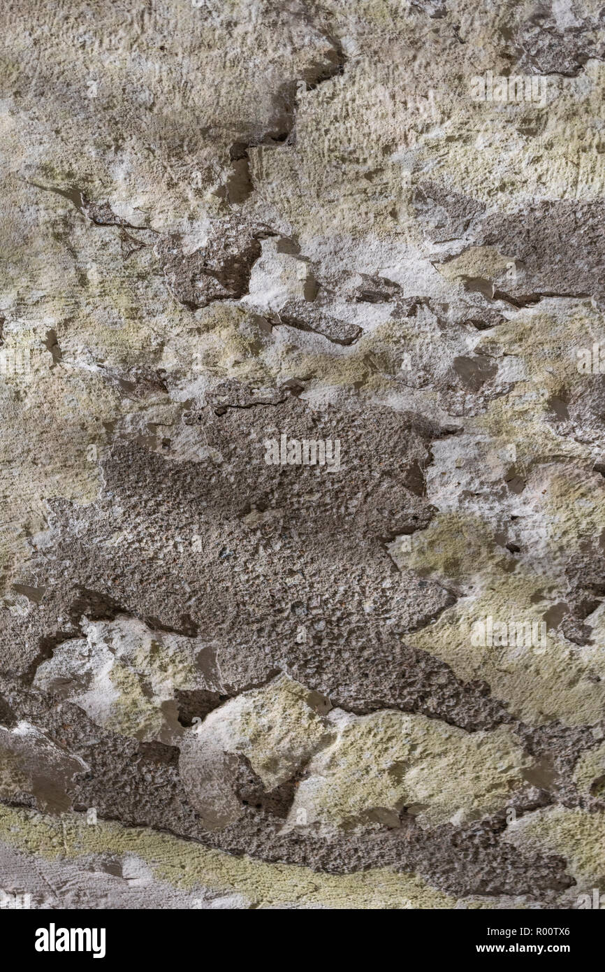 Cracked painted rendering exposing concrete structure beneath. Rough texture, paint cracking