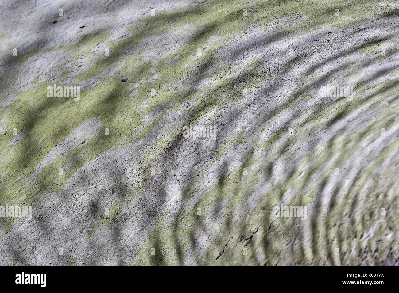 Rather abstract image of water ripples reflected on curved skimmed concrete surface of tunnel beside a river. B&W versions available. Ripple effect. Stock Photo