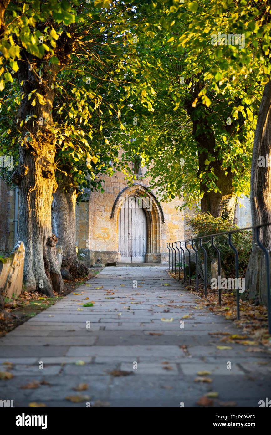 Ash trees lining the path to main door of St James' church, Chipping Campden, Cotswolds, Gloucestershire, England, United Kingdom, Europe Stock Photo