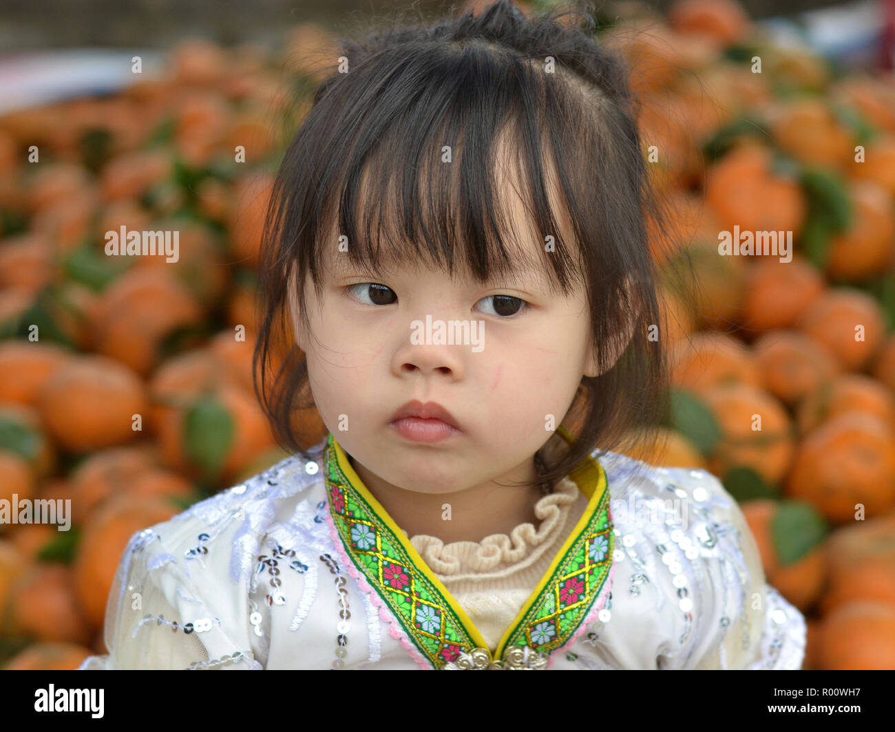 Cute Vietnamese H’mong ethnic-minority hill-tribe toddler girl from Bac Ha. Stock Photo