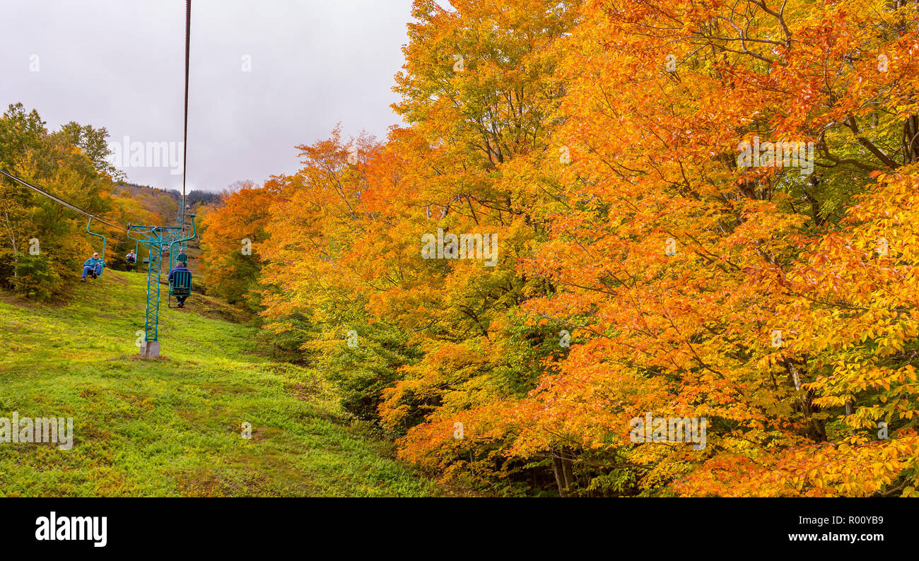 MAD RIVER GLEN SKI AREA, FAYSTON, VERMONT, USA - Fall foliage and single chair lift. Stock Photo