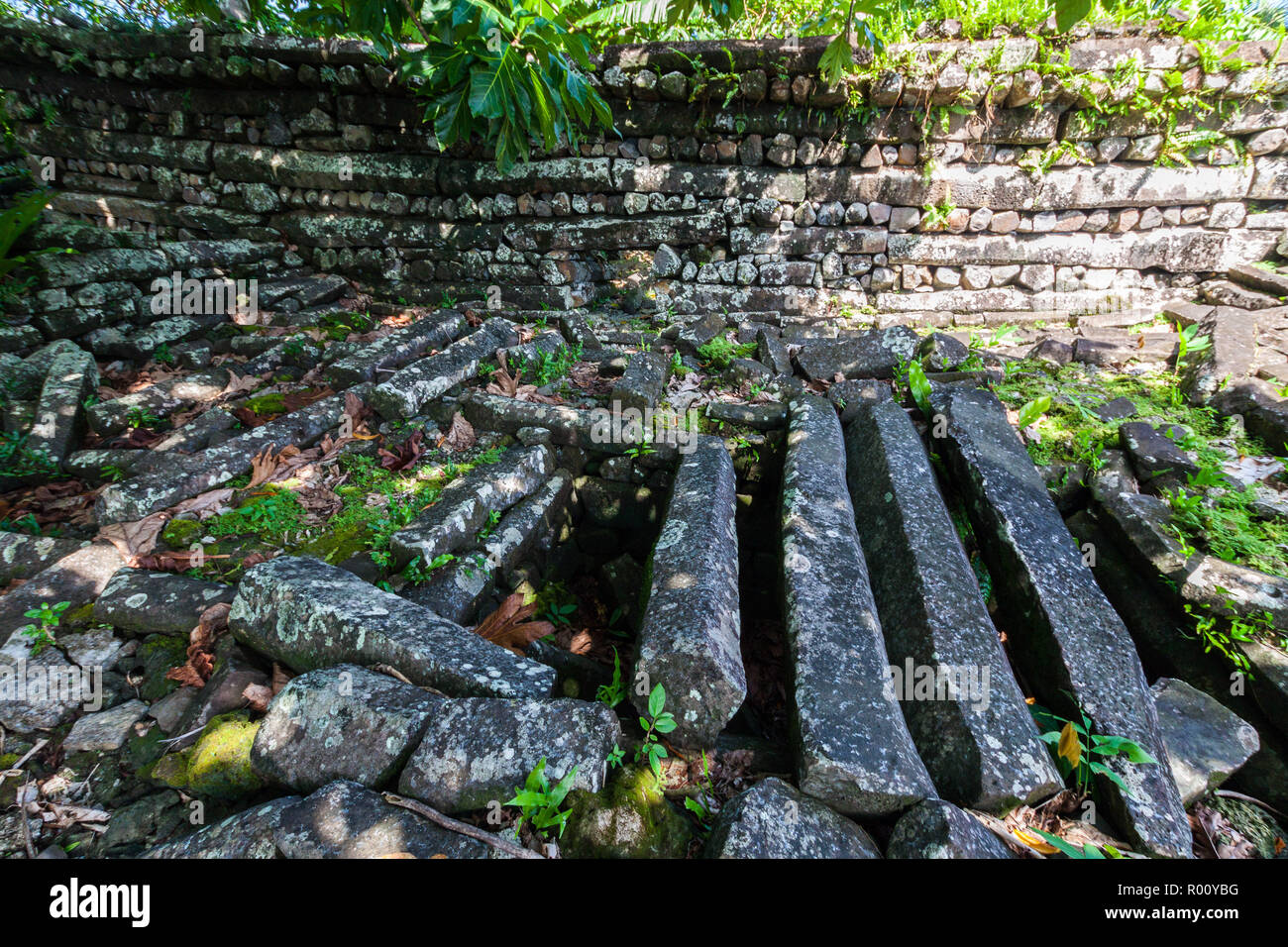 Inside Nan Madol: walls, and secret underground room made of large basalt slabs, overgrown ruins in the jungle, Pohnpei, Micronesia, Oceania Stock Photo