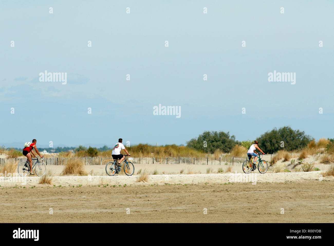 Roi du sport hi-res stock photography and images - Alamy