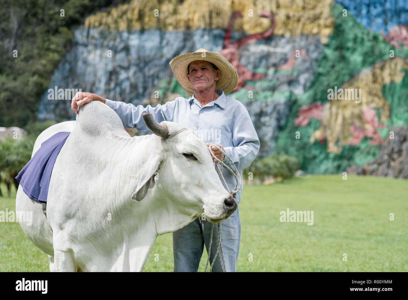 A farmer and his lifestock post for a photo in front of the Mural of Prehisory. Stock Photo