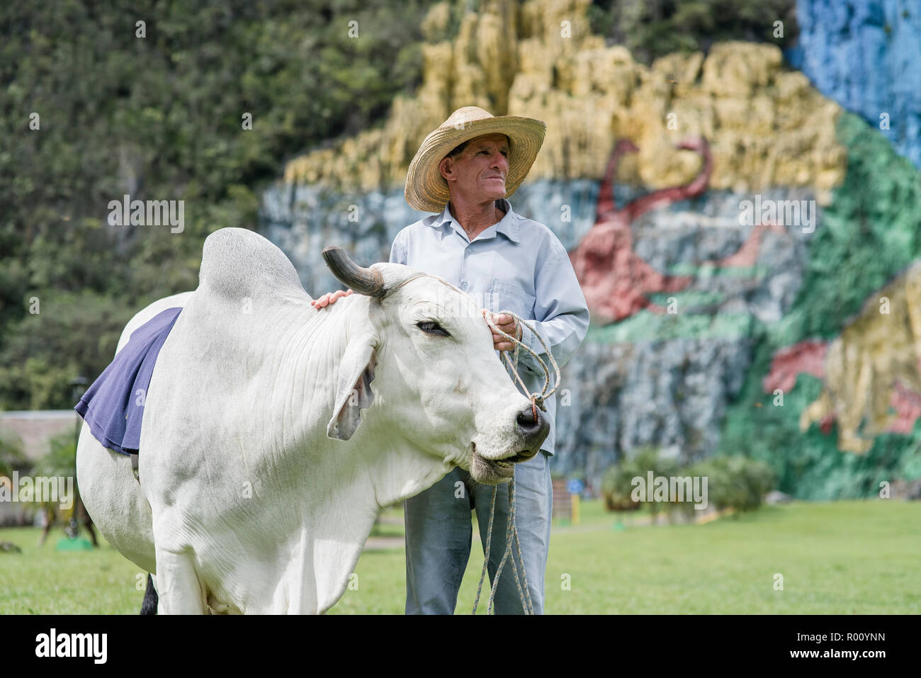 A farmer and his lifestock post for a photo in front of the Mural of Prehisory. Stock Photo