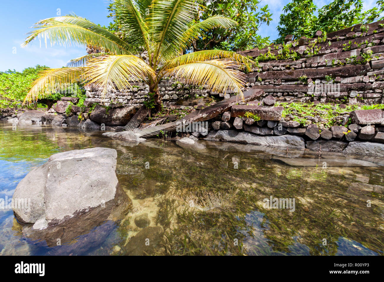 Walls and canals of Nandowas part of Nan Madol - prehistoric overgrown ruined stone city. Pohnpei, Micronesia, Oceania. 'Venice of the Pacific' Stock Photo