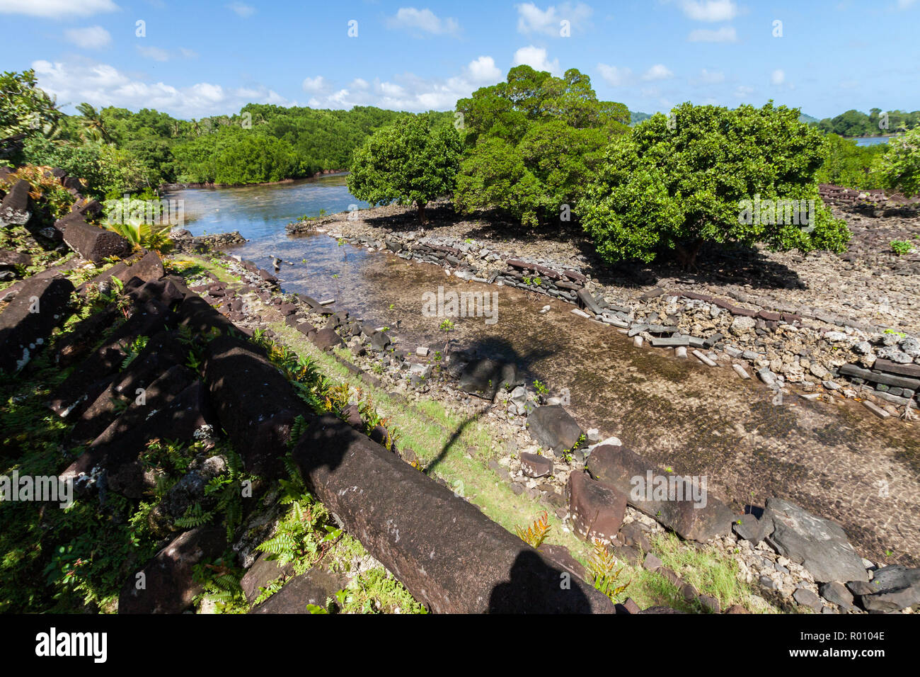 Walls and canals of Nandowas part of Nan Madol - prehistoric ruined stone city. Pohnpei, Micronesia, Oceania. Shadow of a palm tree on the water. Stock Photo