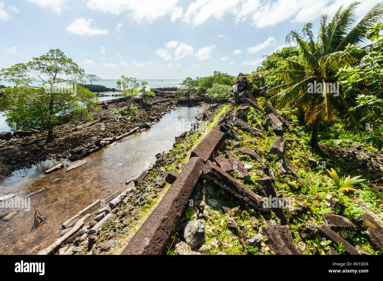 Walls and canals of Nandowas part of Nan Madol - overgrown prehistoric ruined stone city, palms. Pohnpei, Micronesia, Oceania. Venice of the Pacific Stock Photo