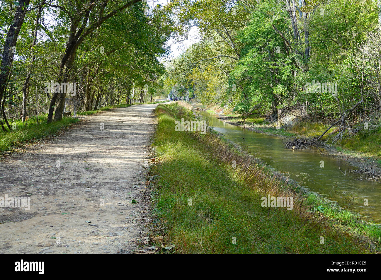 historic canal with arching trees providing shad along tow path Stock Photo