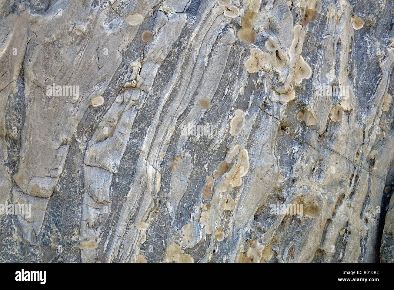 patterned rocks and lichen along the Billy Goat Trail Stock Photo