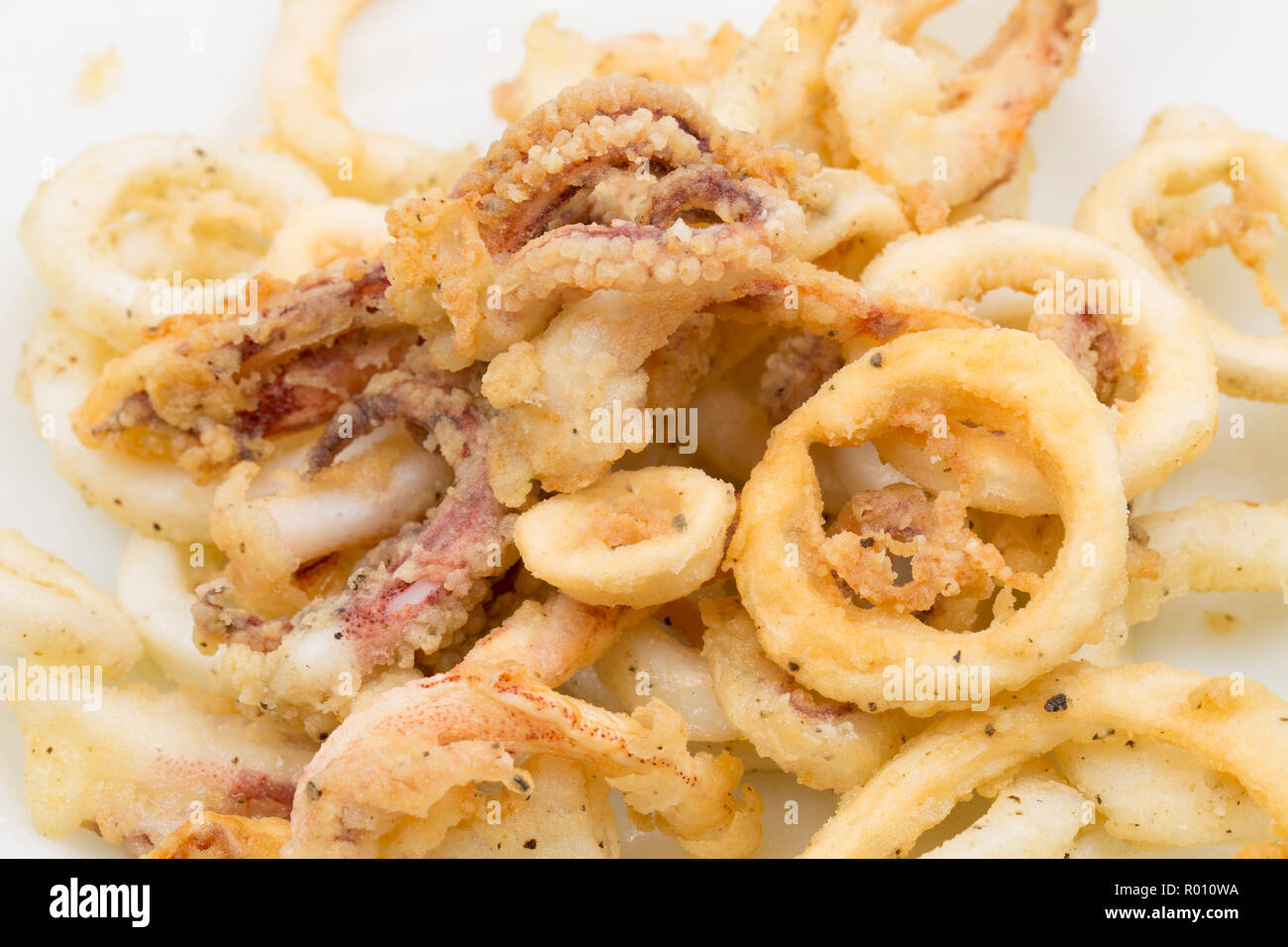 Homecooked, deep fried squid rings and tentacles from a squid, Loligo vulgaris, that was caught on rod and line from a pier. Dorset England UK GB Stock Photo