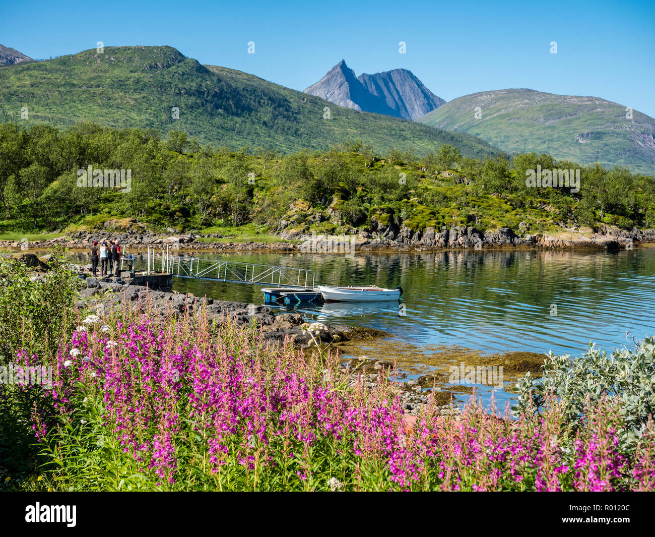 Fjordbotn campsite hi-res stock photography and images - Alamy