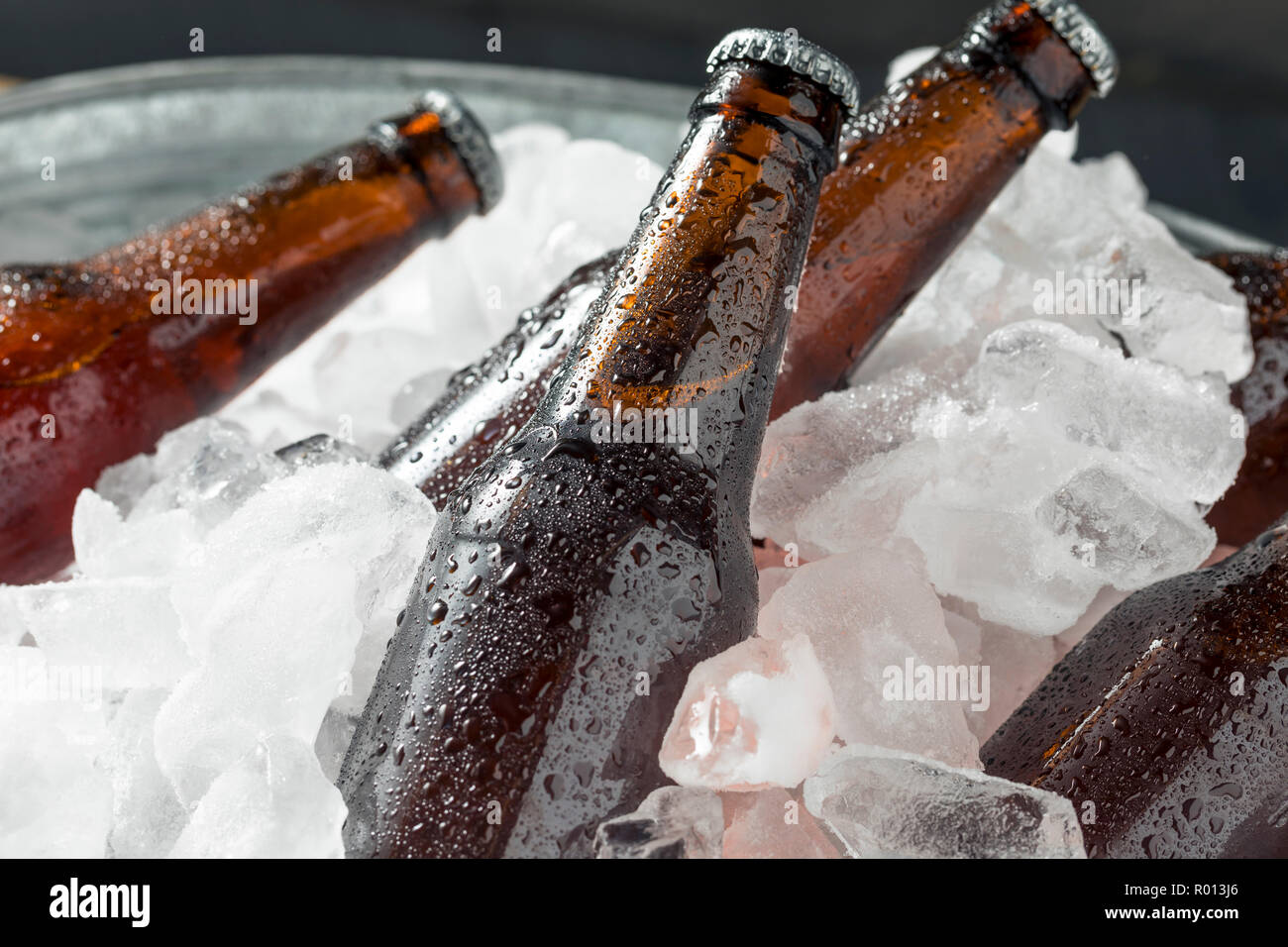 Cold Icy Beer Bottles in a Cooler with Ice Stock Photo