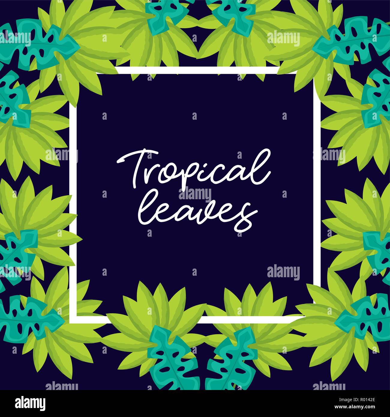 tropical natural leaves Stock Vector Image & Art - Alamy