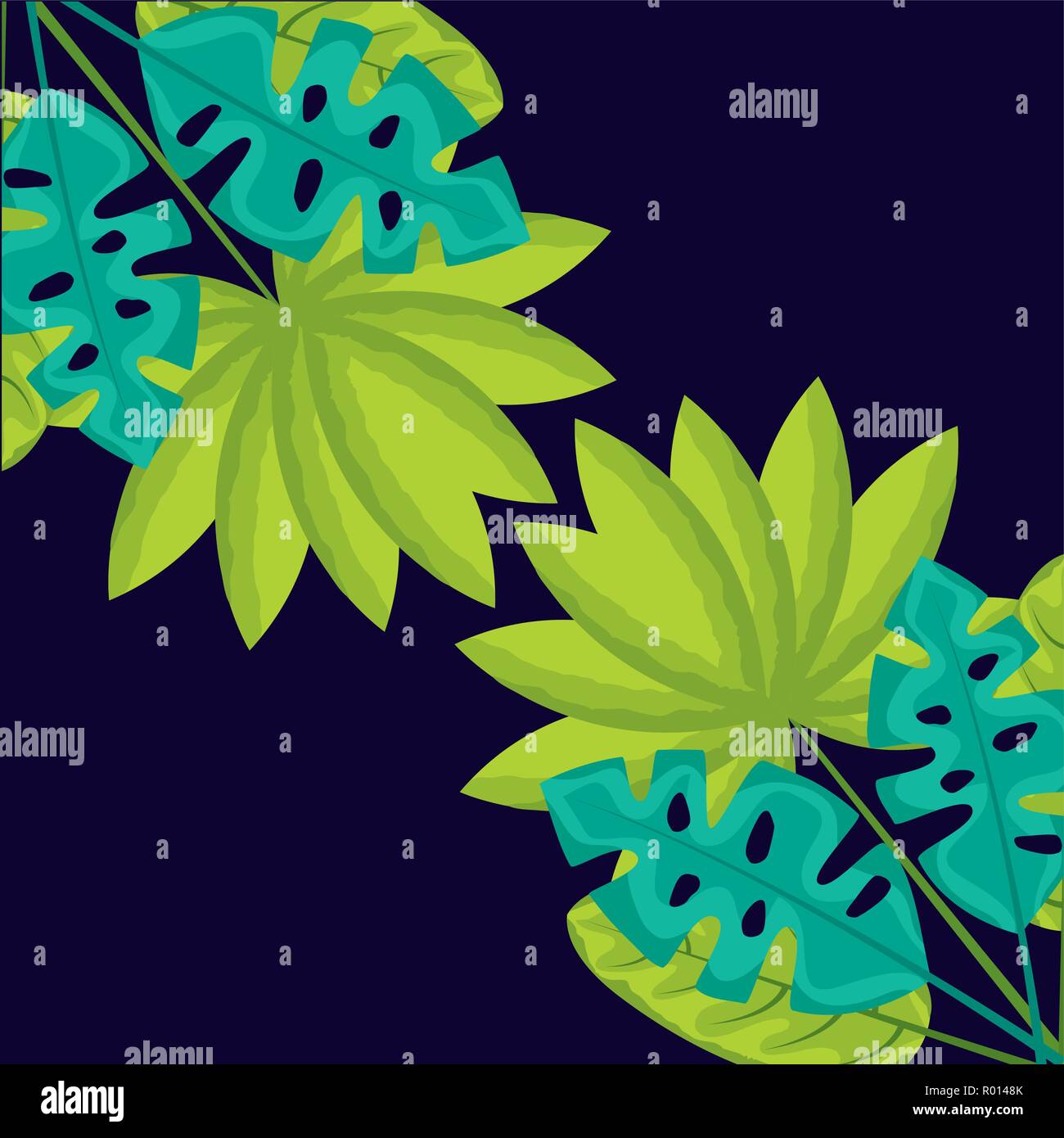 tropical natural leaves Stock Vector Image & Art - Alamy