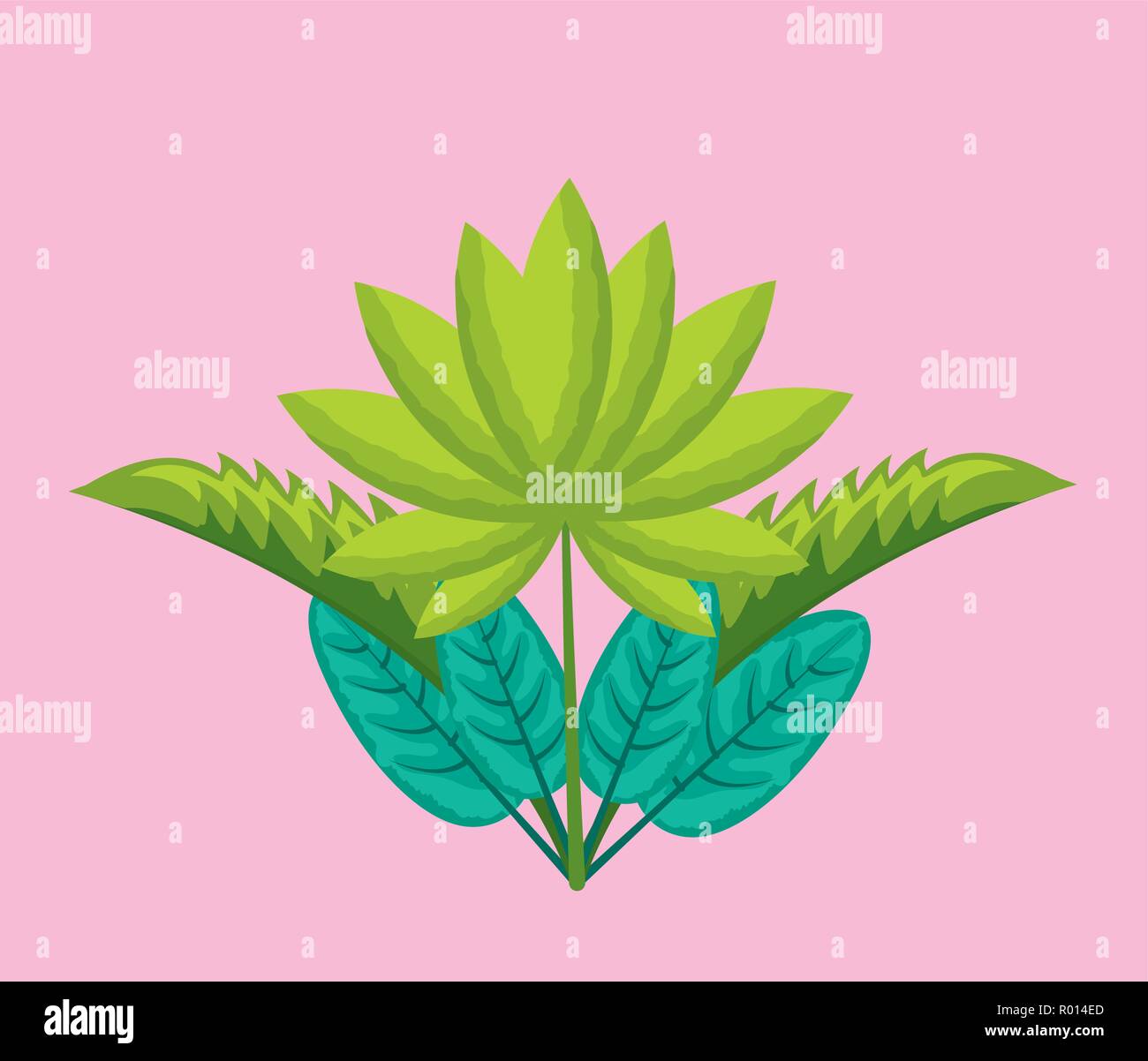 tropical natural leaves Stock Vector Image & Art - Alamy