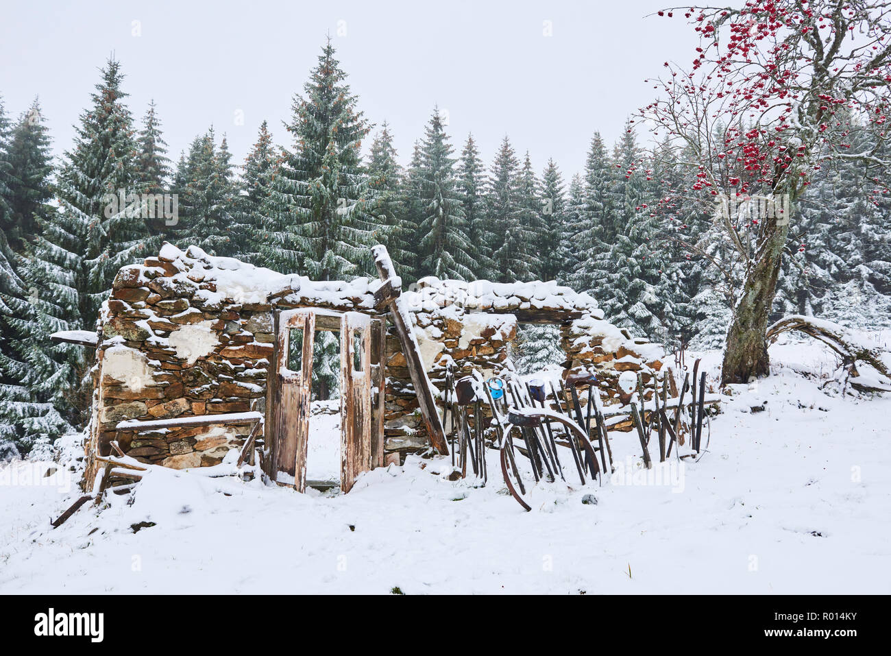 Old abandoned demolished house covered with snow in winter Stock Photo ...