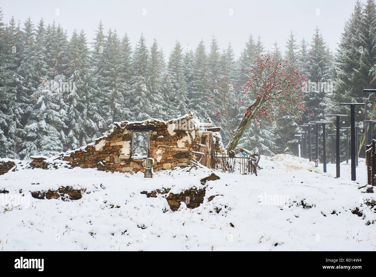 Old abandoned demolished house covered with snow in winter Stock Photo ...