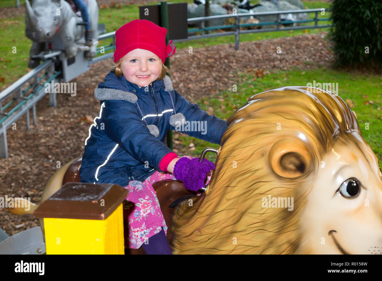 Rockin Rhinoceros Hi res Stock Photography And Images Alamy rockin-rhinoceros-hi-res-stock-photography-and-images-alamy