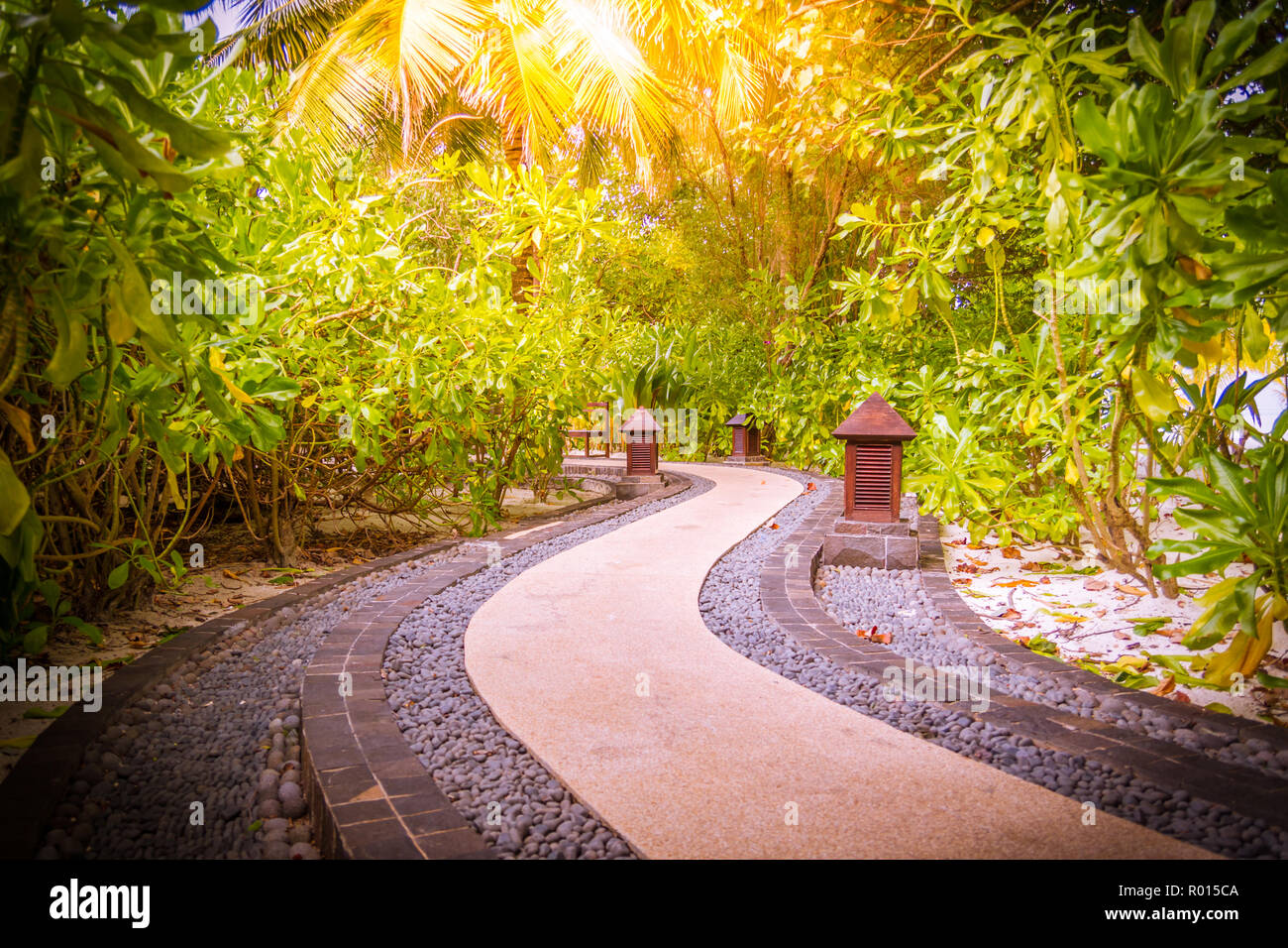 Japanese zen garden. Tranquil nature scene, palm trees and green nature for  zen mood Stock Photo - Alamy