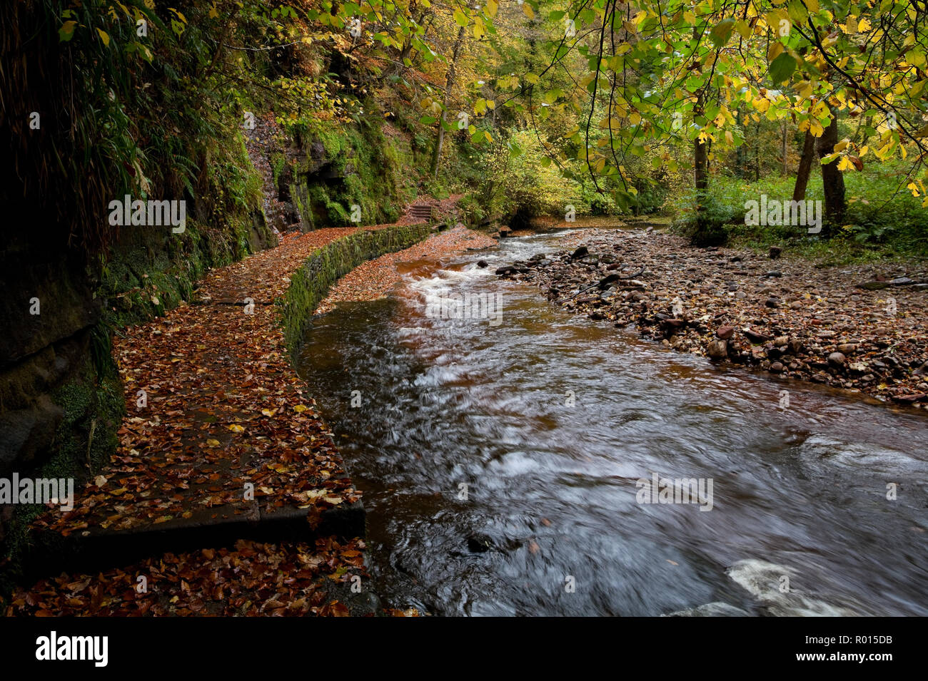 River Gelt in Gelt Woods, Cumbria, UK Stock Photo