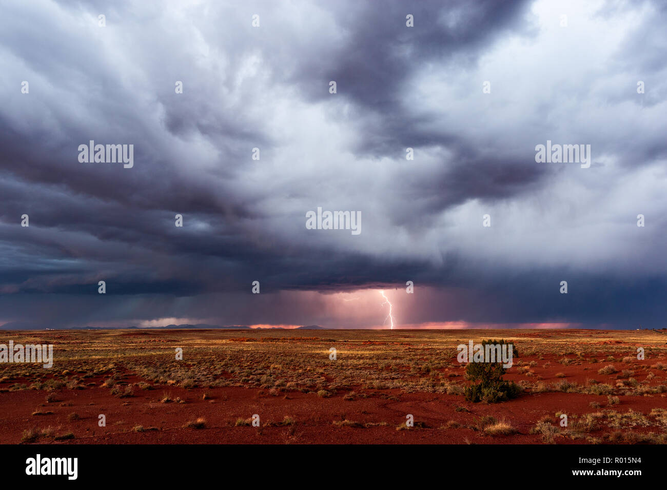 Stormy sky with lightning and a lone tree on the horizon Stock Photo
