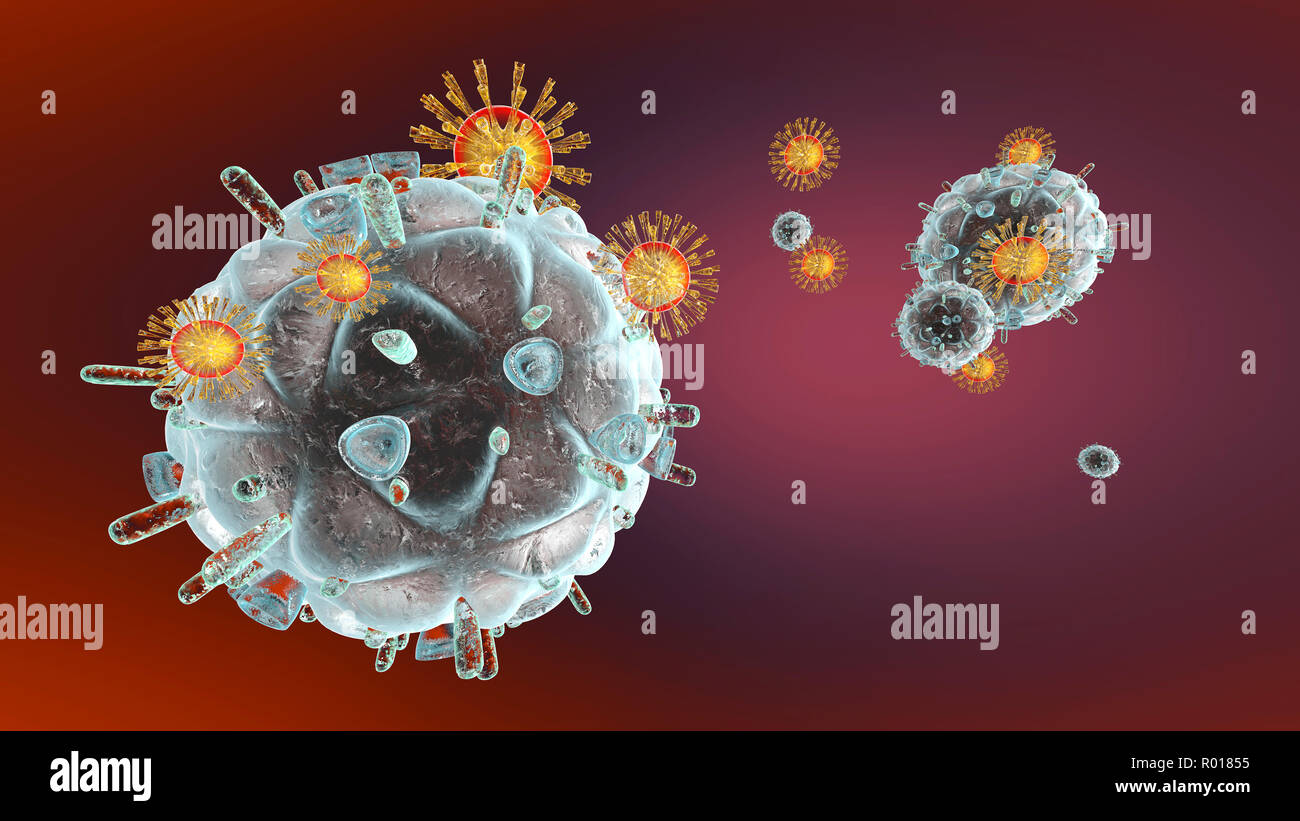 3D Illustration of Immune System cells attacking a HIV Virus Stock