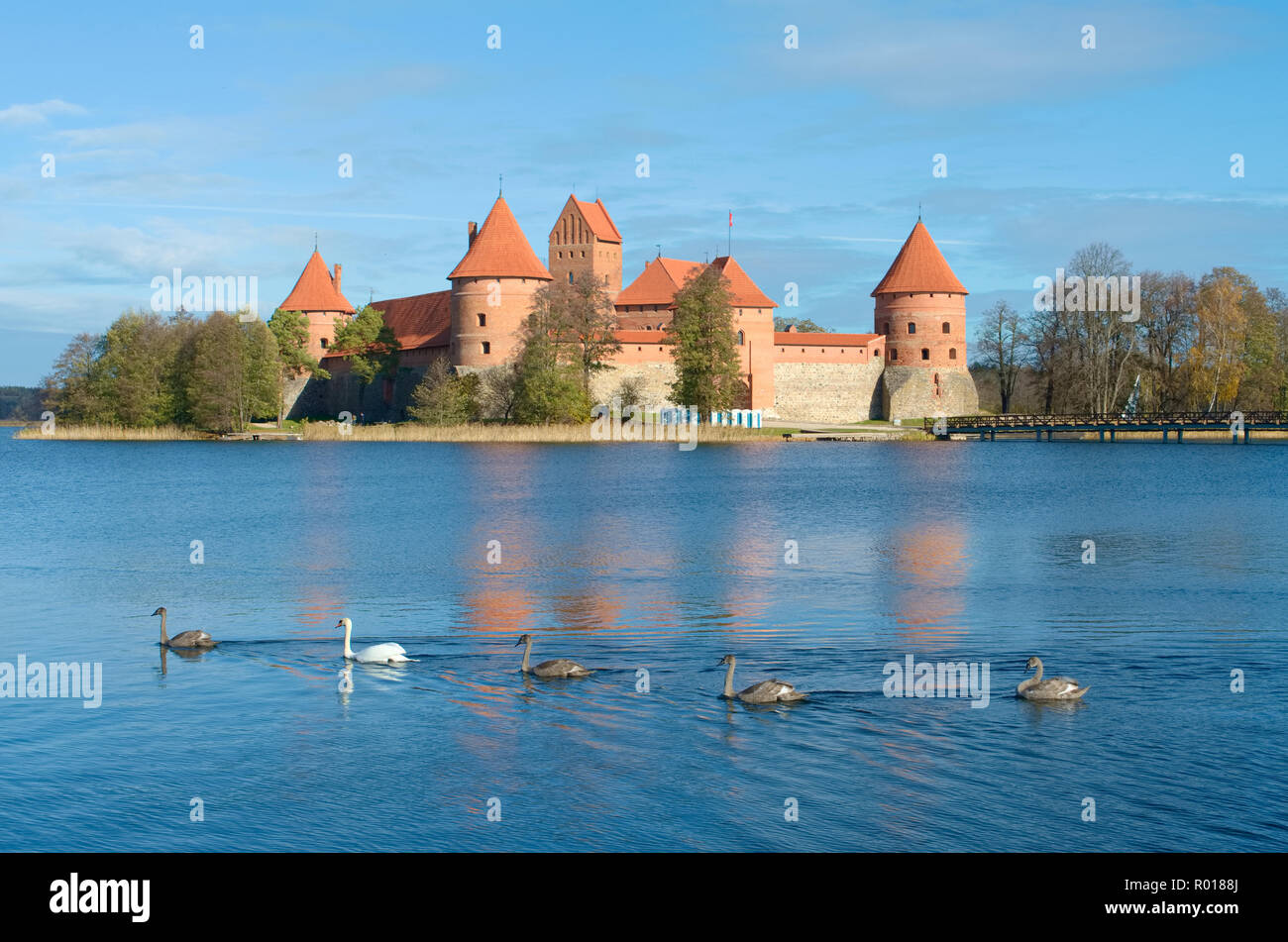 Medieval castle of Trakai, Vilnius, Lithuania, Eastern Europe, located between beautiful lakes and nature with family of swans Stock Photo